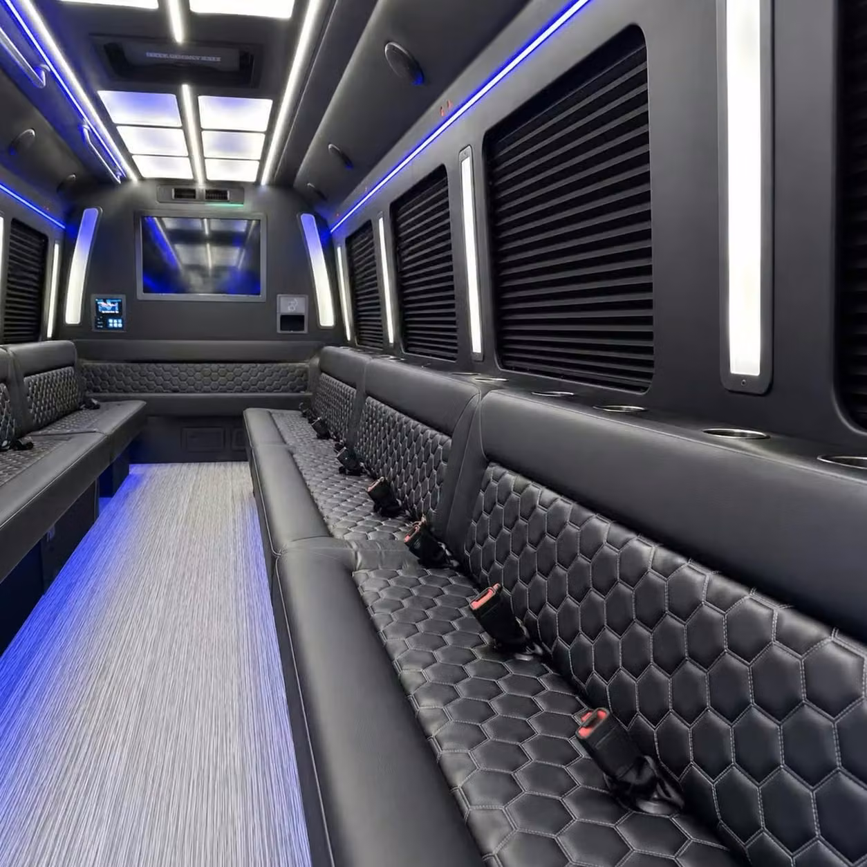santa paula party bus party lighting